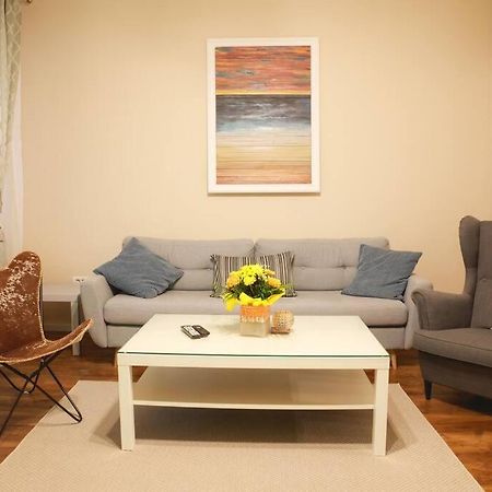 Charming Apartment In Historical City Center ティミショアラ エクステリア 写真